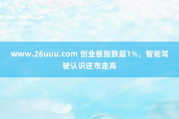 www.26uuu.com 创业板指跌超1%，智能驾驶认识逆市走高