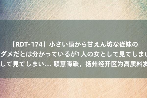 【RDT-174】小さい頃から甘えん坊な従妹の発育途中の躰が気になりダメだとは分かっているが1人の女として見てしまい… 颖慧降碳，扬州经开区为高质料发展添“绿”