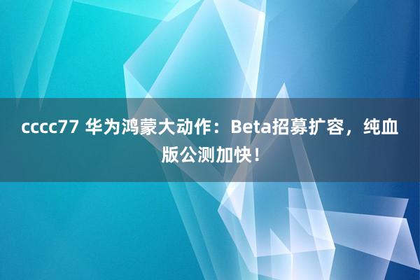 cccc77 华为鸿蒙大动作：Beta招募扩容，纯血版公测加快！