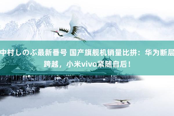 中村しのぶ最新番号 国产旗舰机销量比拼：华为断层跨越，小米vivo紧随自后！