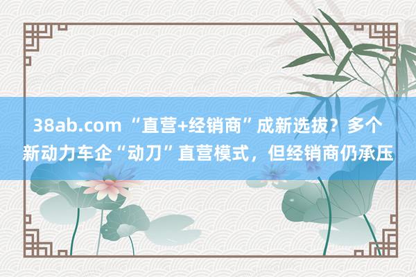 38ab.com “直营+经销商”成新选拔？多个新动力车企“动刀”直营模式，但经销商仍承压