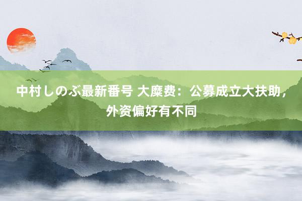 中村しのぶ最新番号 大糜费：公募成立大扶助，外资偏好有不同