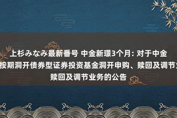 上杉みなみ最新番号 中金新璟3个月: 对于中金新璟3个月按期洞开债券型证券投资基金洞开申购、赎回及调节业务的公告