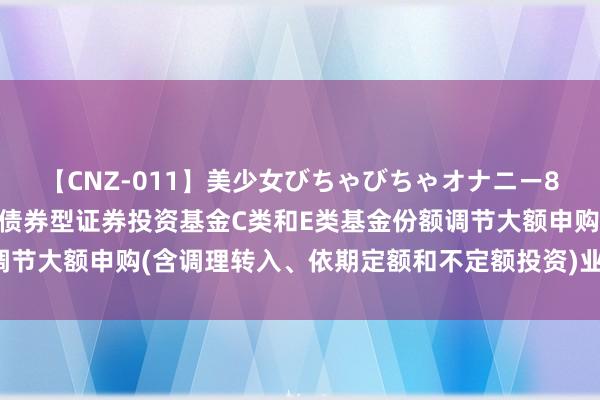 【CNZ-011】美少女びちゃびちゃオナニー8時間 对于广发双债添利债券型证券投资基金C类和E类基金份额调节大额申购(含调理转入、依期定额和不定额投资)业务名额的公告