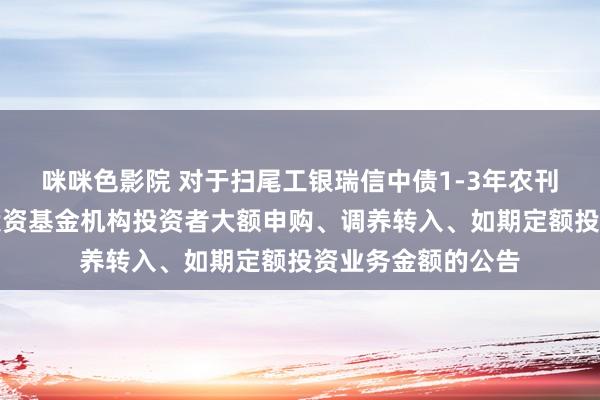 咪咪色影院 对于扫尾工银瑞信中债1-3年农刊行债券指数证券投资基金机构投资者大额申购、调养转入、如期定额投资业务金额的公告