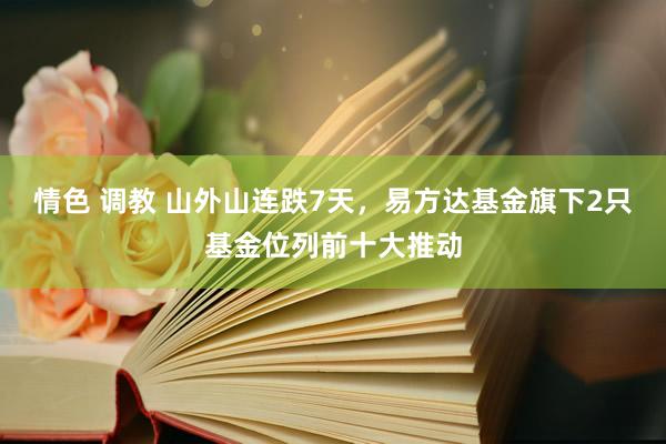 情色 调教 山外山连跌7天，易方达基金旗下2只基金位列前十大推动