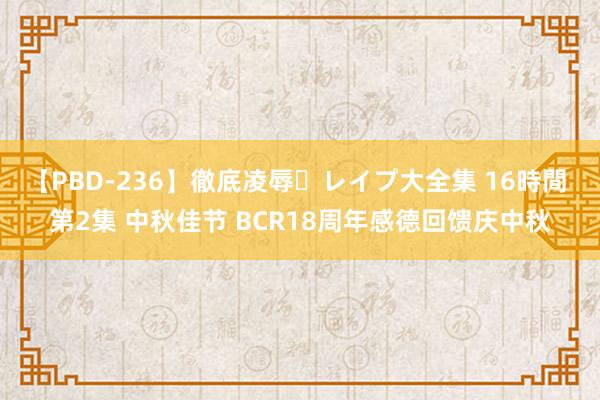 【PBD-236】徹底凌辱・レイプ大全集 16時間 第2集 中秋佳节 BCR18周年感德回馈庆中秋