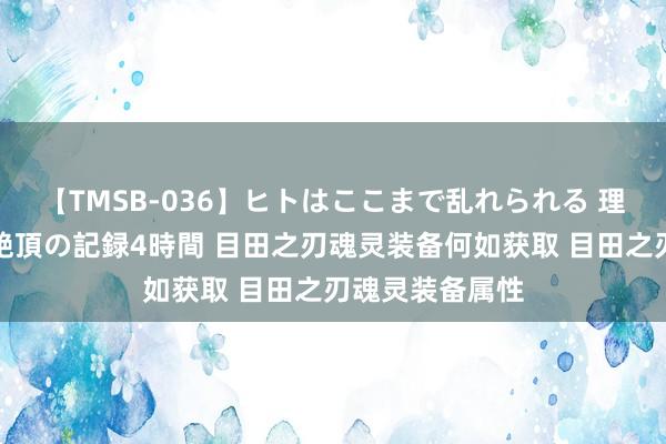 【TMSB-036】ヒトはここまで乱れられる 理性崩壊と豪快絶頂の記録4時間 目田之刃魂灵装备何如获取 目田之刃魂灵装备属性