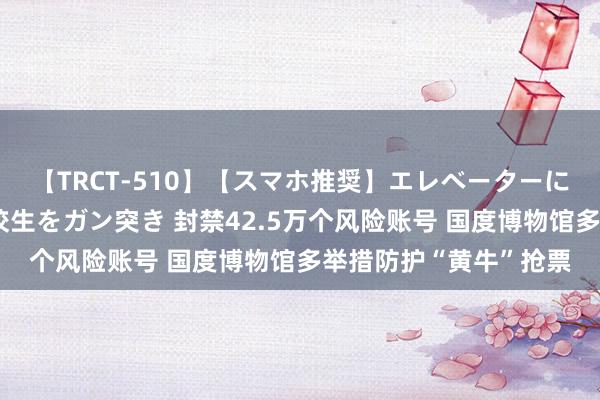 【TRCT-510】【スマホ推奨】エレベーターに挟まれたデカ尻女子校生をガン突き 封禁42.5万个风险账号 国度博物馆多举措防护“黄牛”抢票