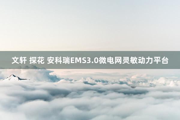 文轩 探花 安科瑞EMS3.0微电网灵敏动力平台