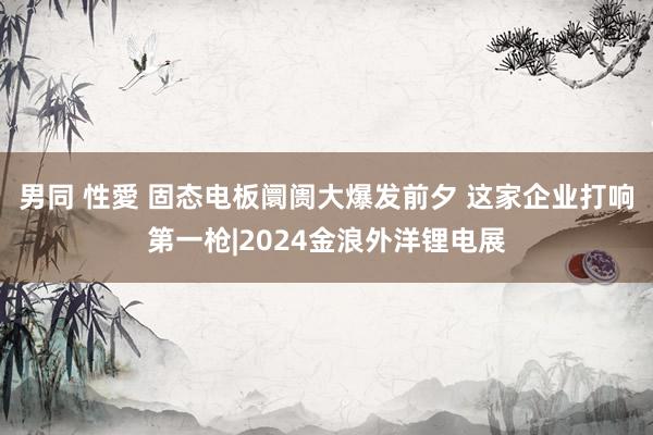 男同 性愛 固态电板阛阓大爆发前夕 这家企业打响第一枪|2024金浪外洋锂电展