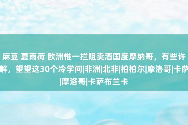 麻豆 夏雨荷 欧洲惟一拦阻卖酒国度摩纳哥，有些许你不了解，望望这30个冷学问|非洲|北非|柏柏尔|摩洛哥|卡萨布兰卡