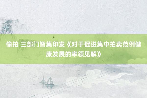 偷拍 三部门皆集印发《对于促进集中拍卖范例健康发展的率领见解》