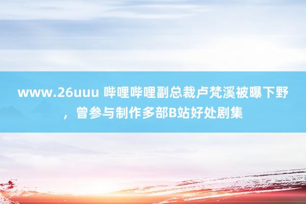 www.26uuu 哔哩哔哩副总裁卢梵溪被曝下野，曾参与制作多部B站好处剧集