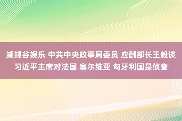 蝴蝶谷娱乐 中共中央政事局委员 应酬部长王毅谈习近平主席对法国 塞尔维亚 匈牙利国是侦查